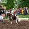 CRW_5909.jpg